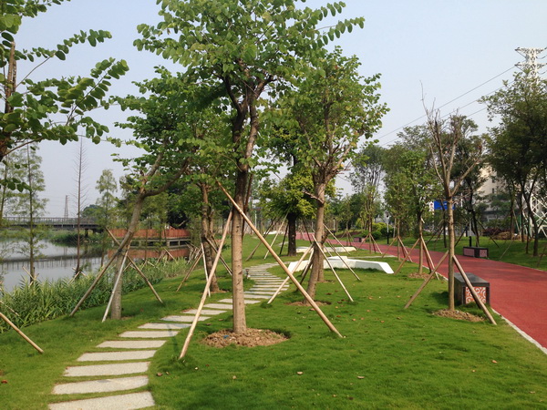 顺德区大良云近东区滨河景观和岸线整治建设工程（F区）